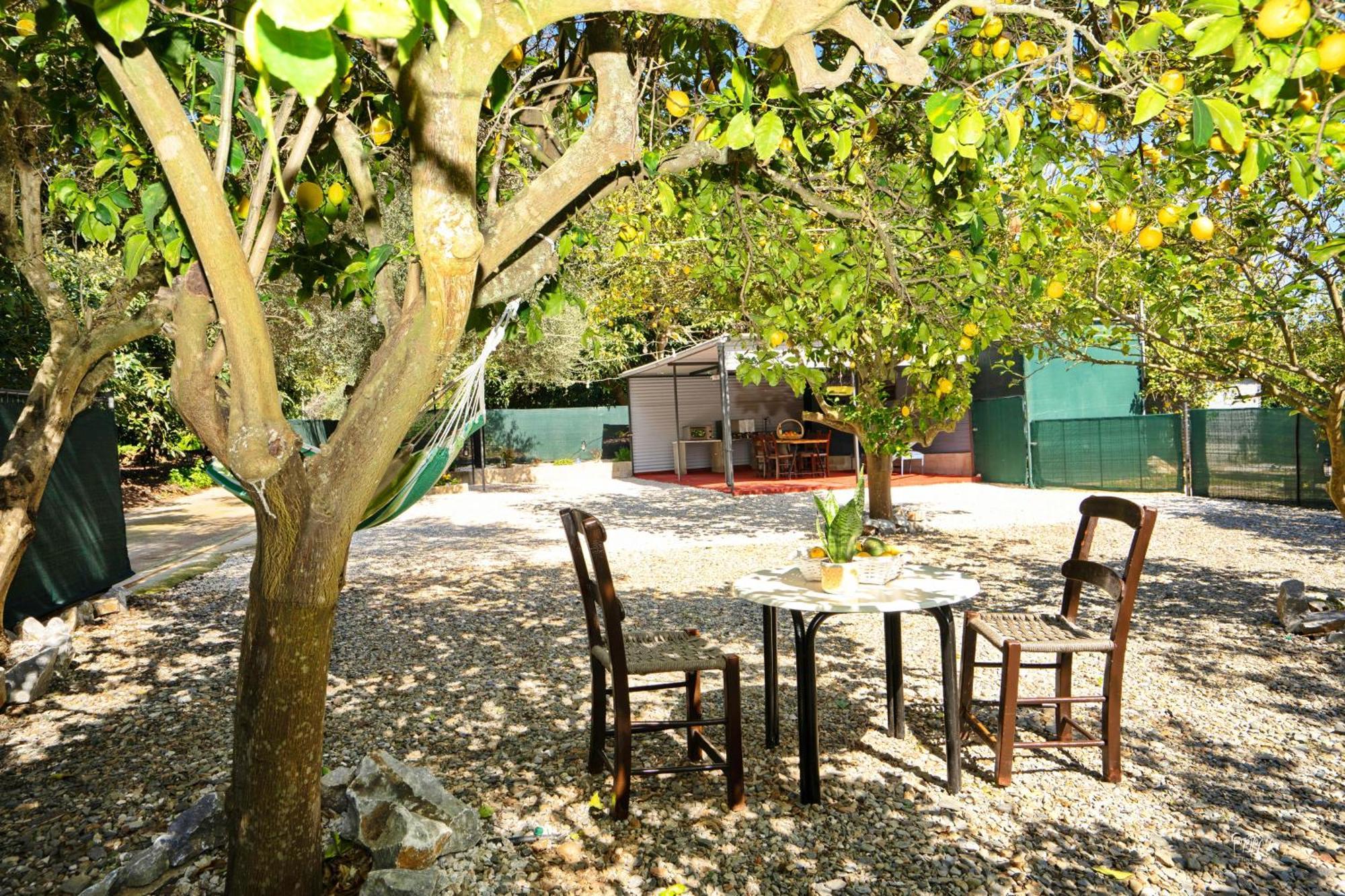 Lemon Garden Camper La Canée