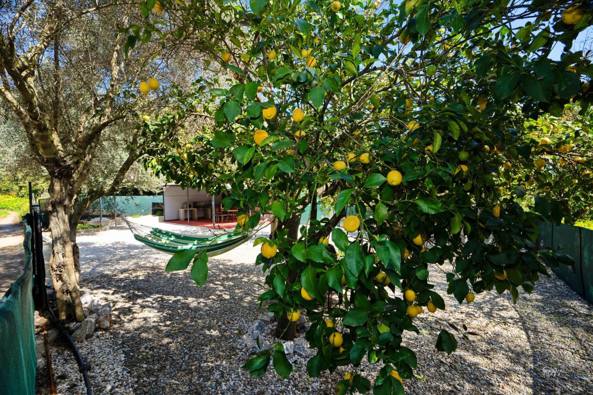 Lemon Garden Camper * La Canée