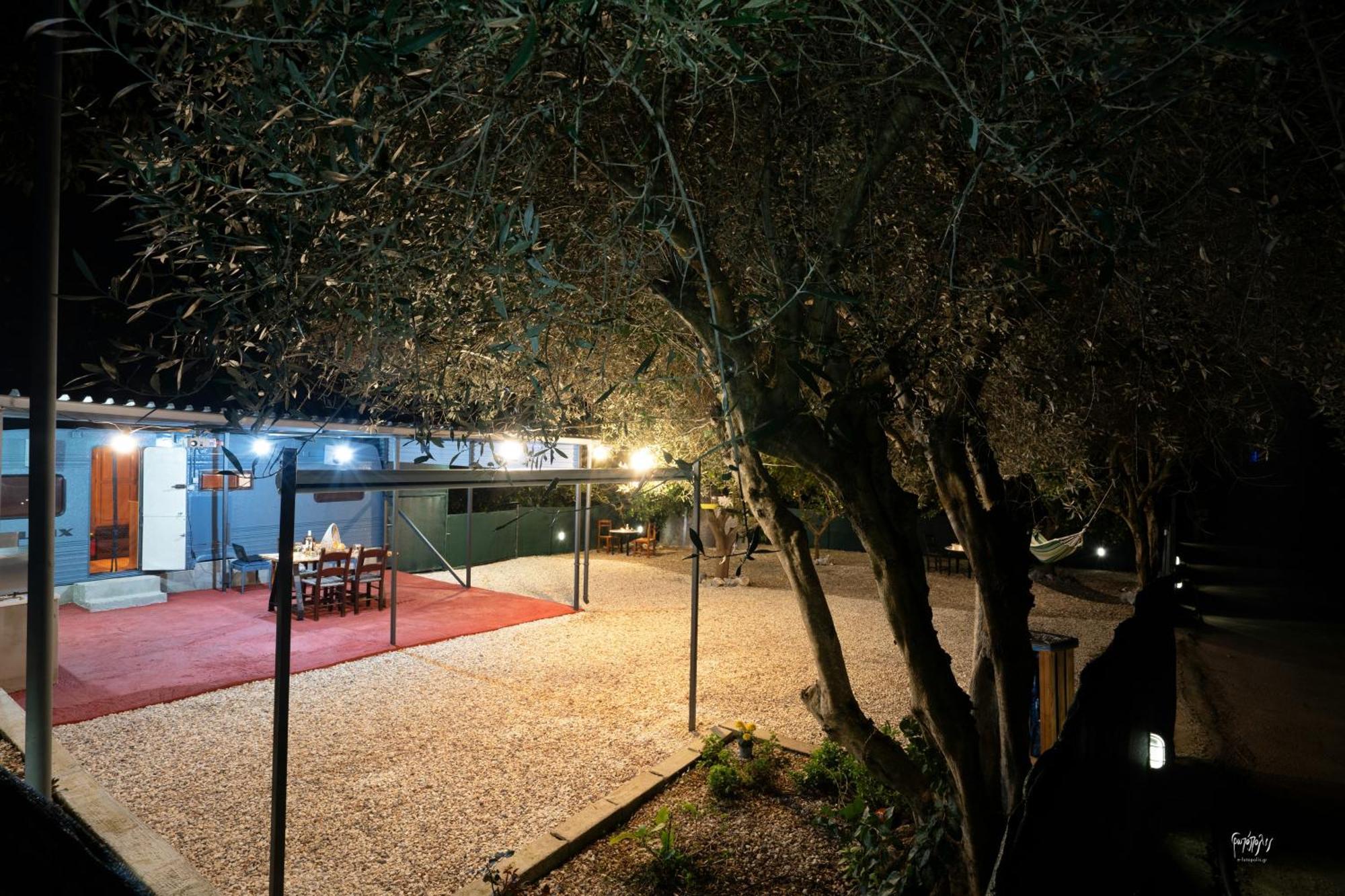 Hébergement de vacances Lemon Garden Camper