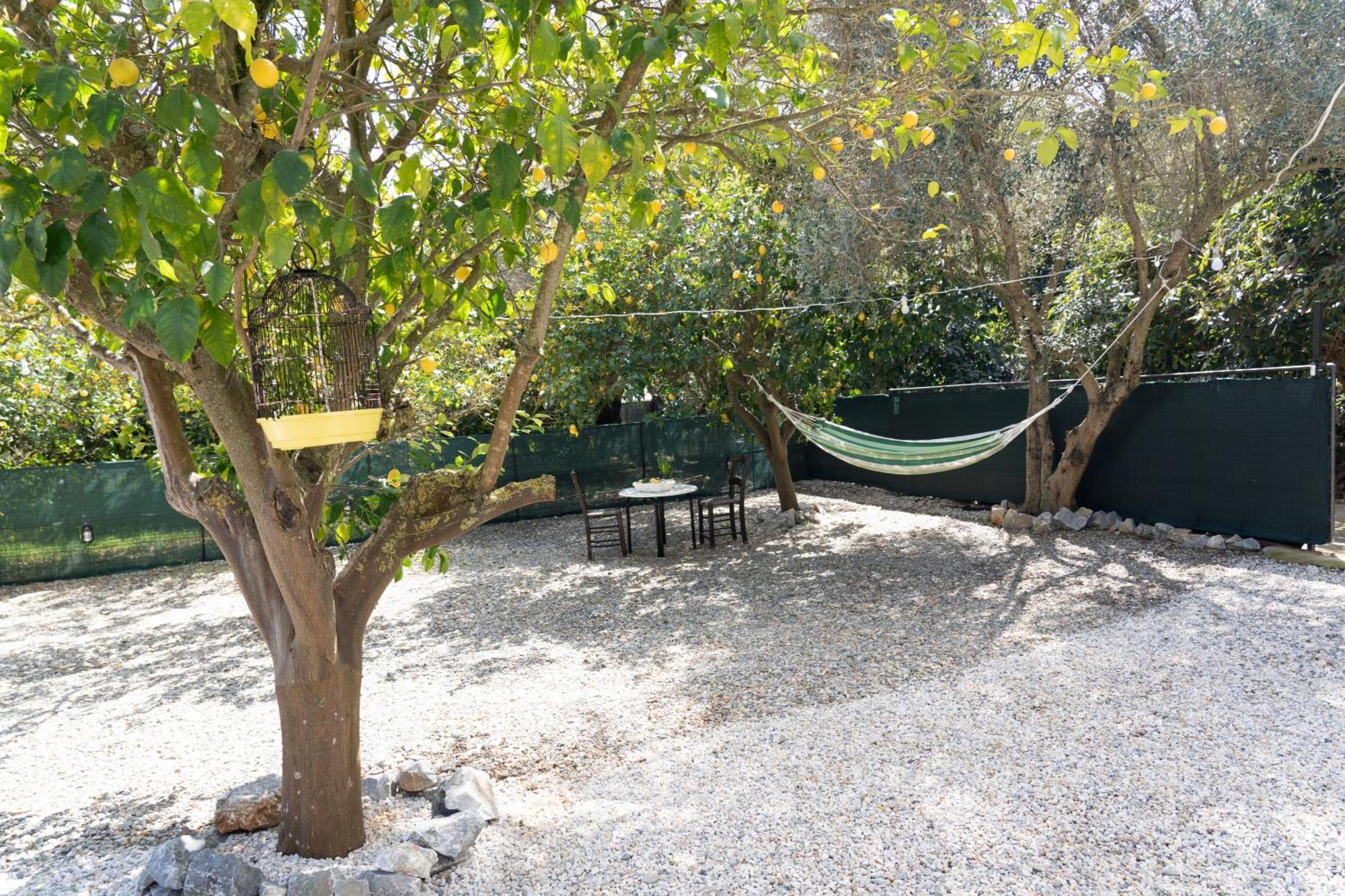 Lemon Garden Camper Case de vacanță Chania (Crete)