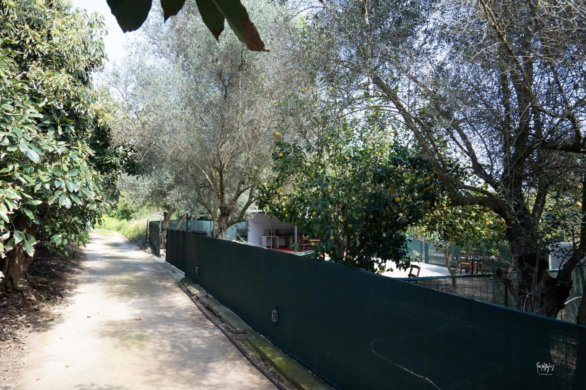 Case de vacanță Lemon Garden Camper Chania (Crete)