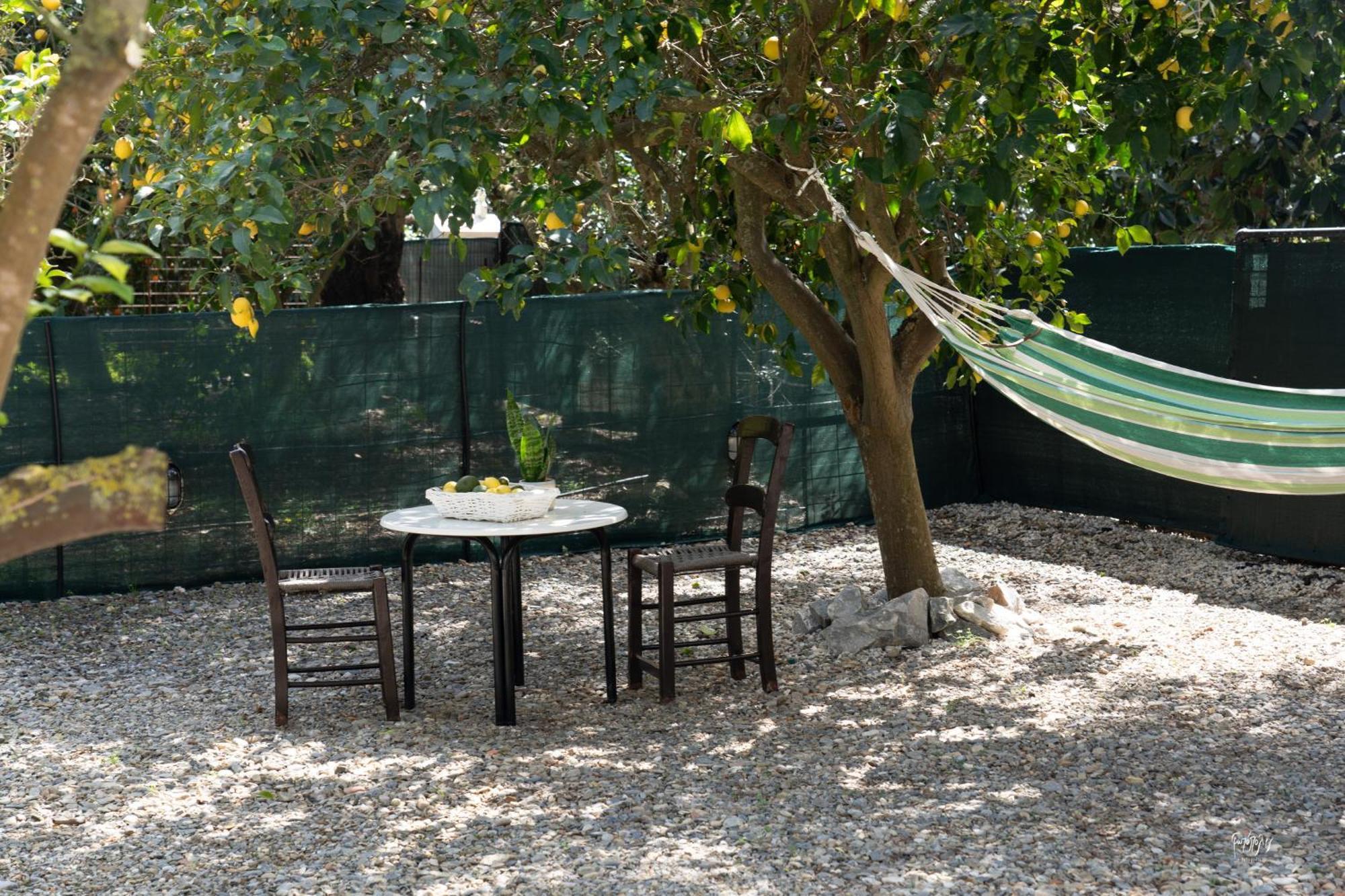 Lemon Garden Camper Case de vacanță *